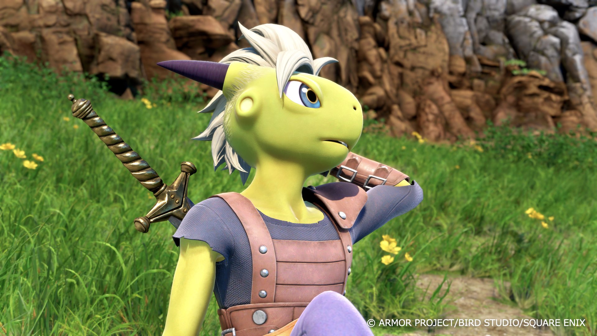Dragon Quest XII: Jenseits der Träume