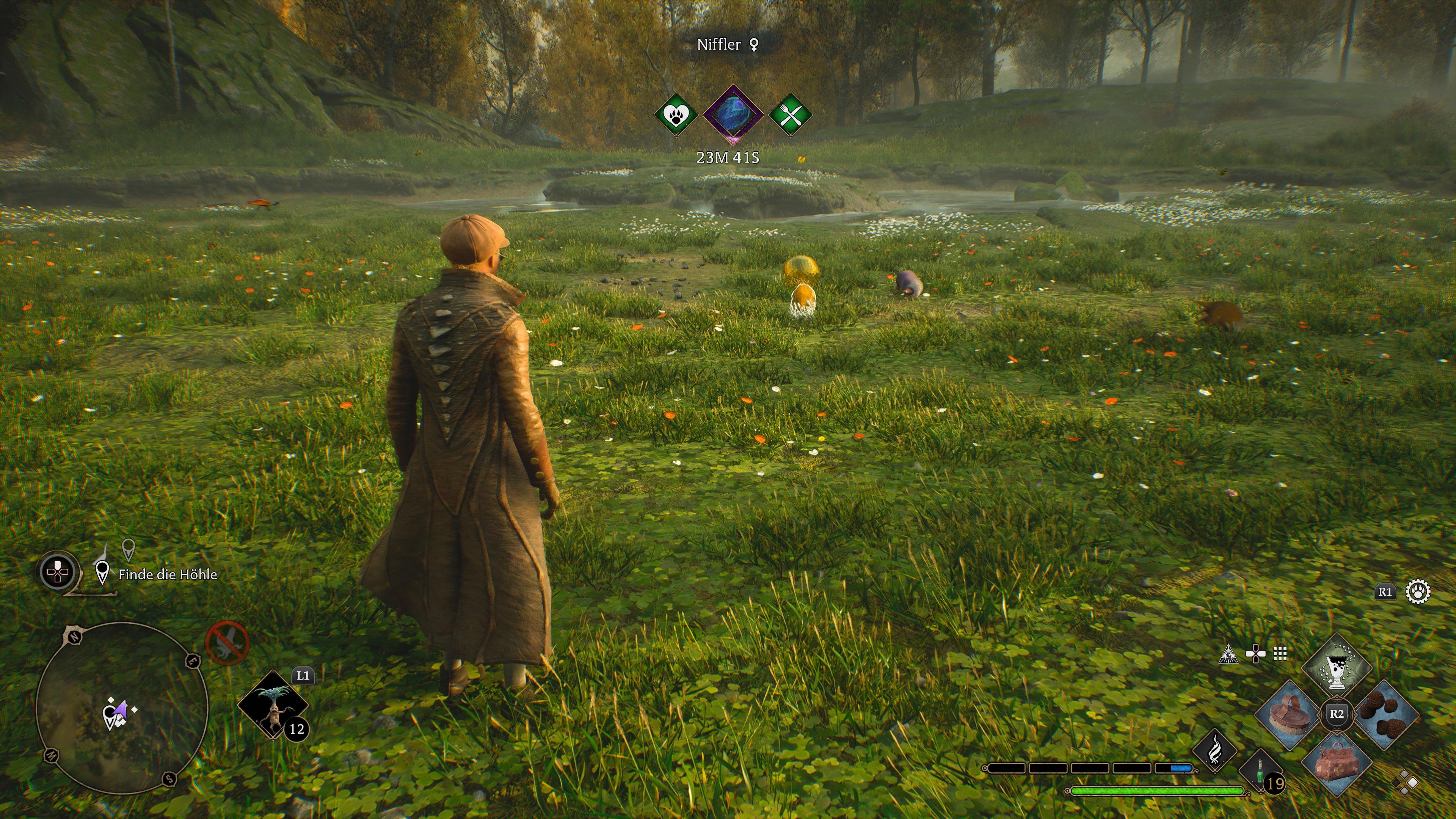 Hogwarts Legacy - Sommer-Update 2024 ist online