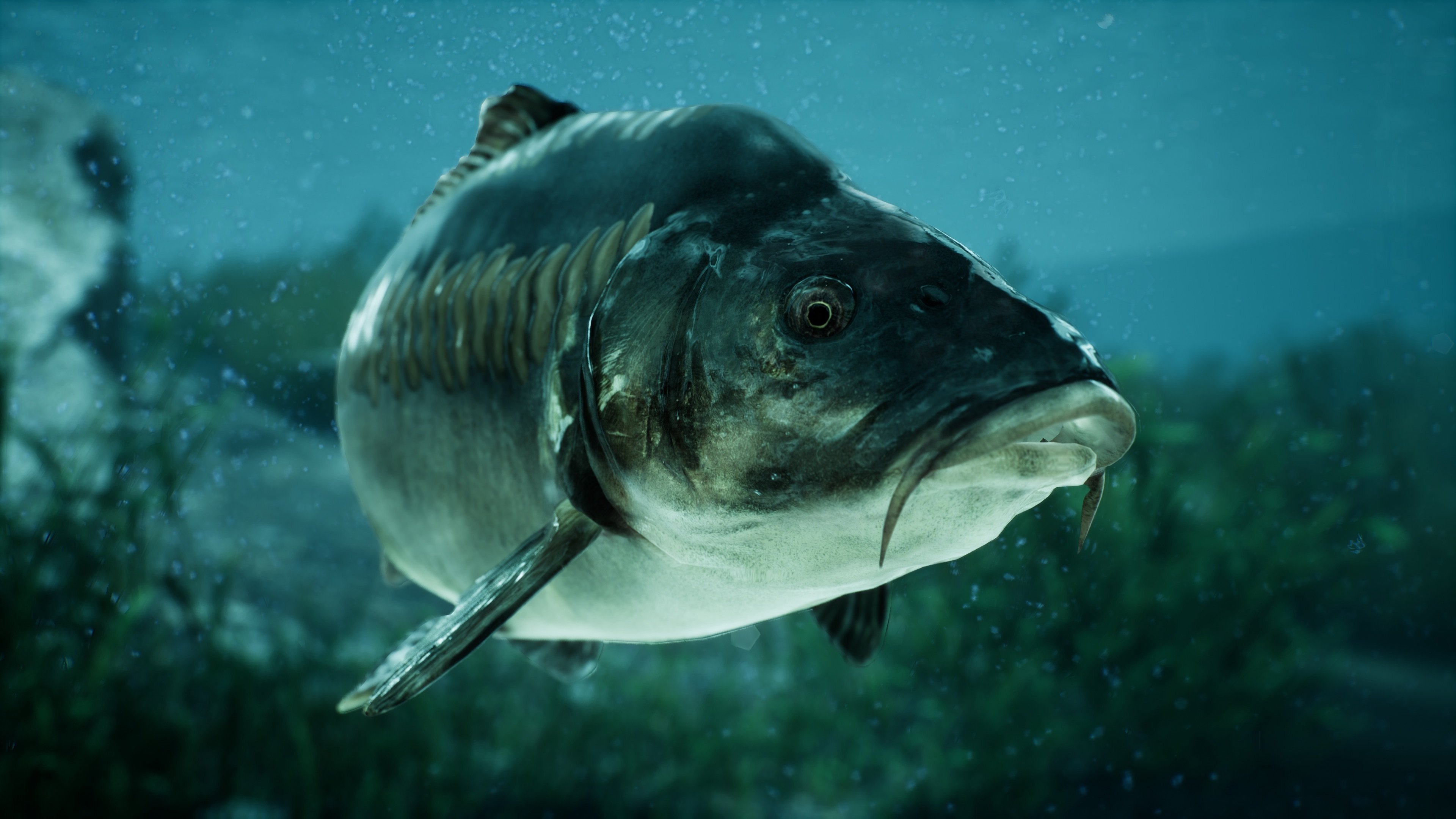 The Catch: Carp & Coarse - In exotischen Ländern Angeln