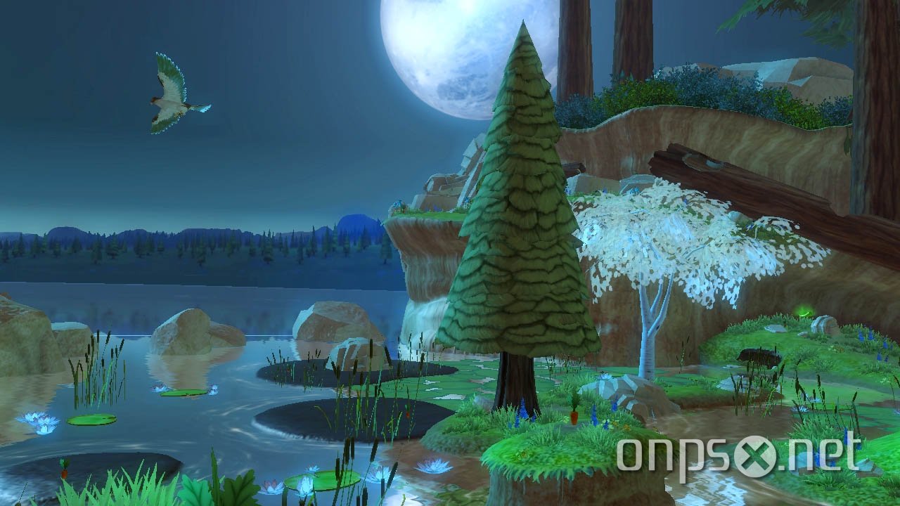 Wildlife: Forest Survival