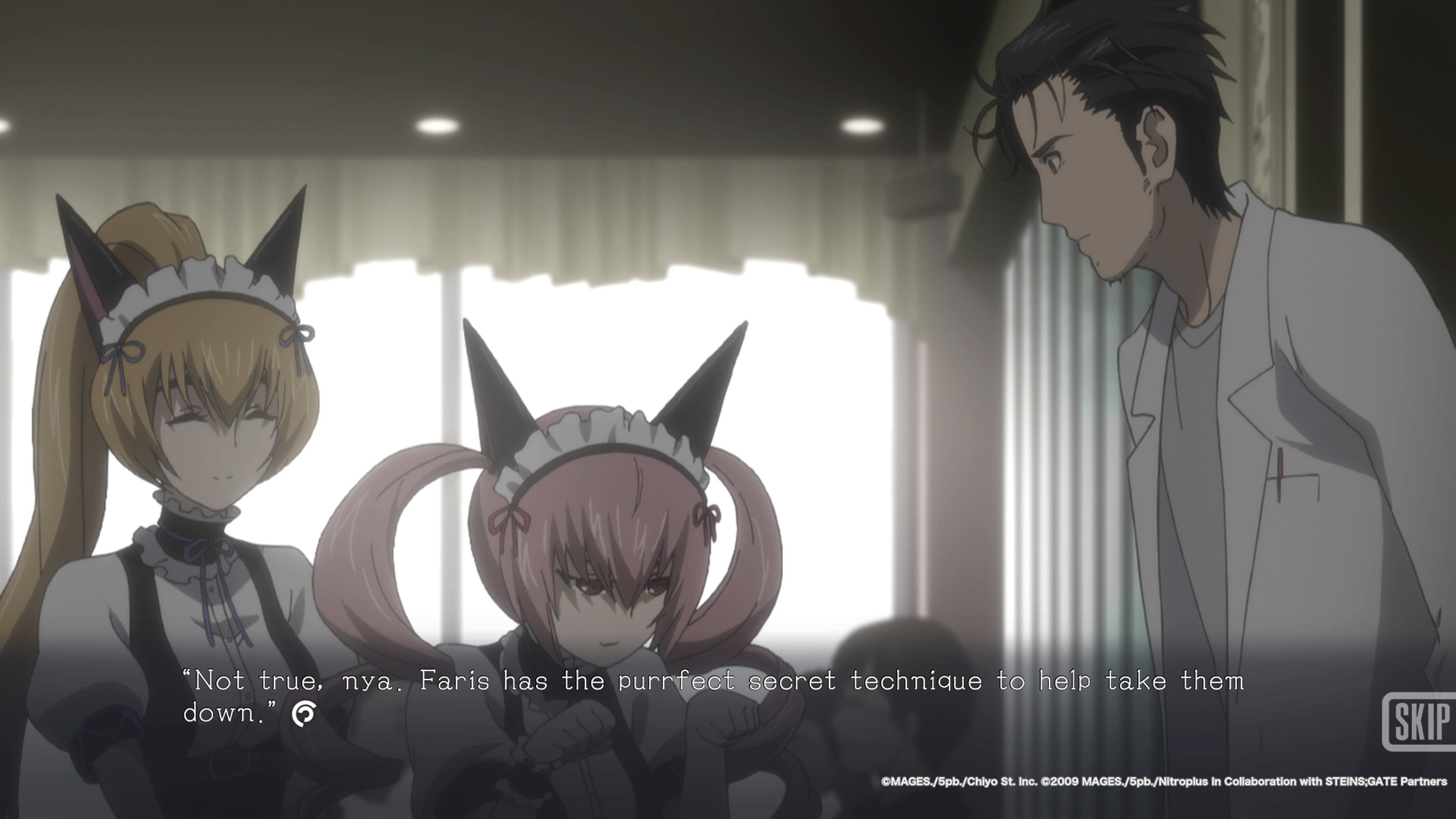 Steins;Gate Elite