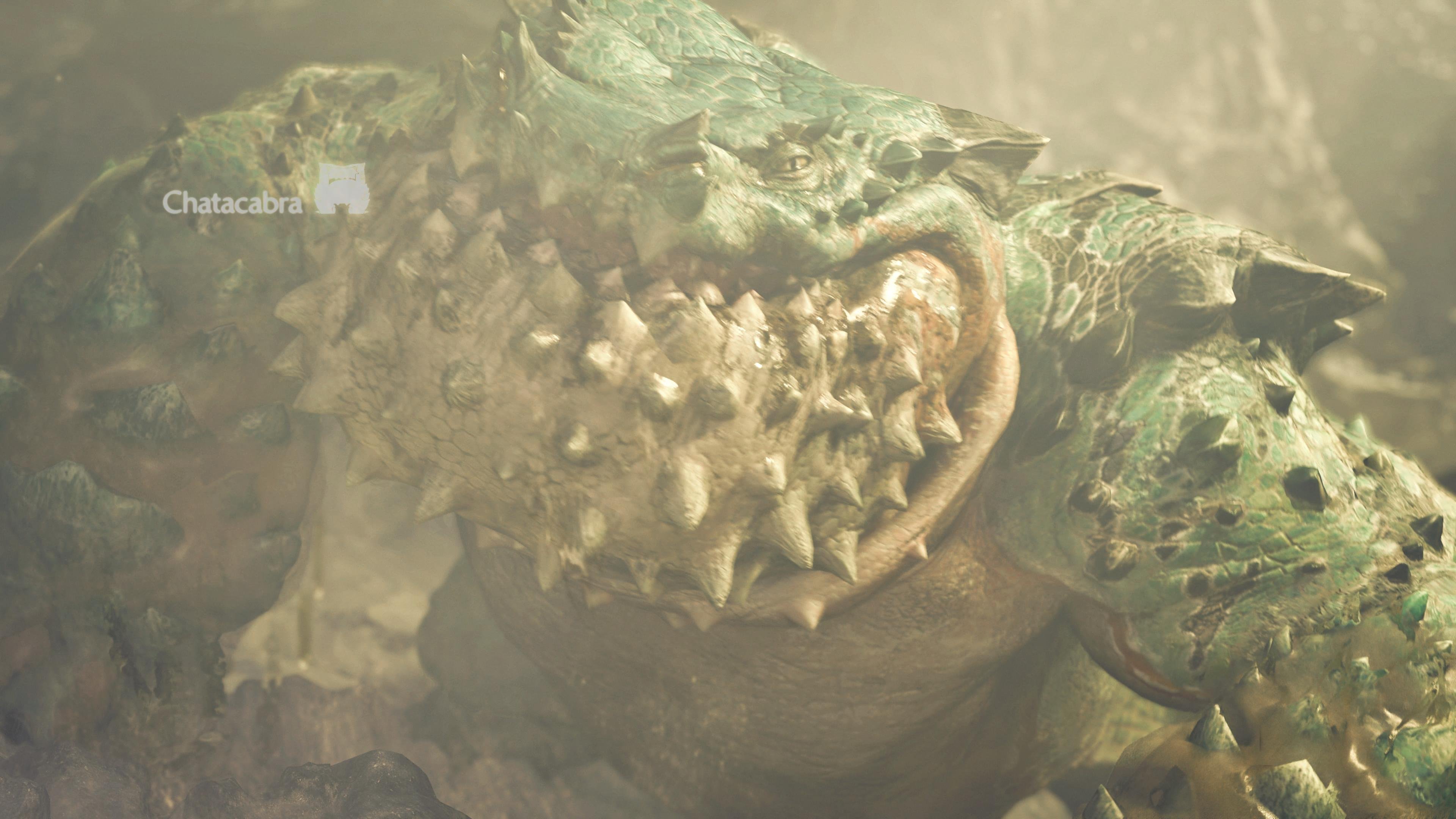 Monster Hunter Wilds