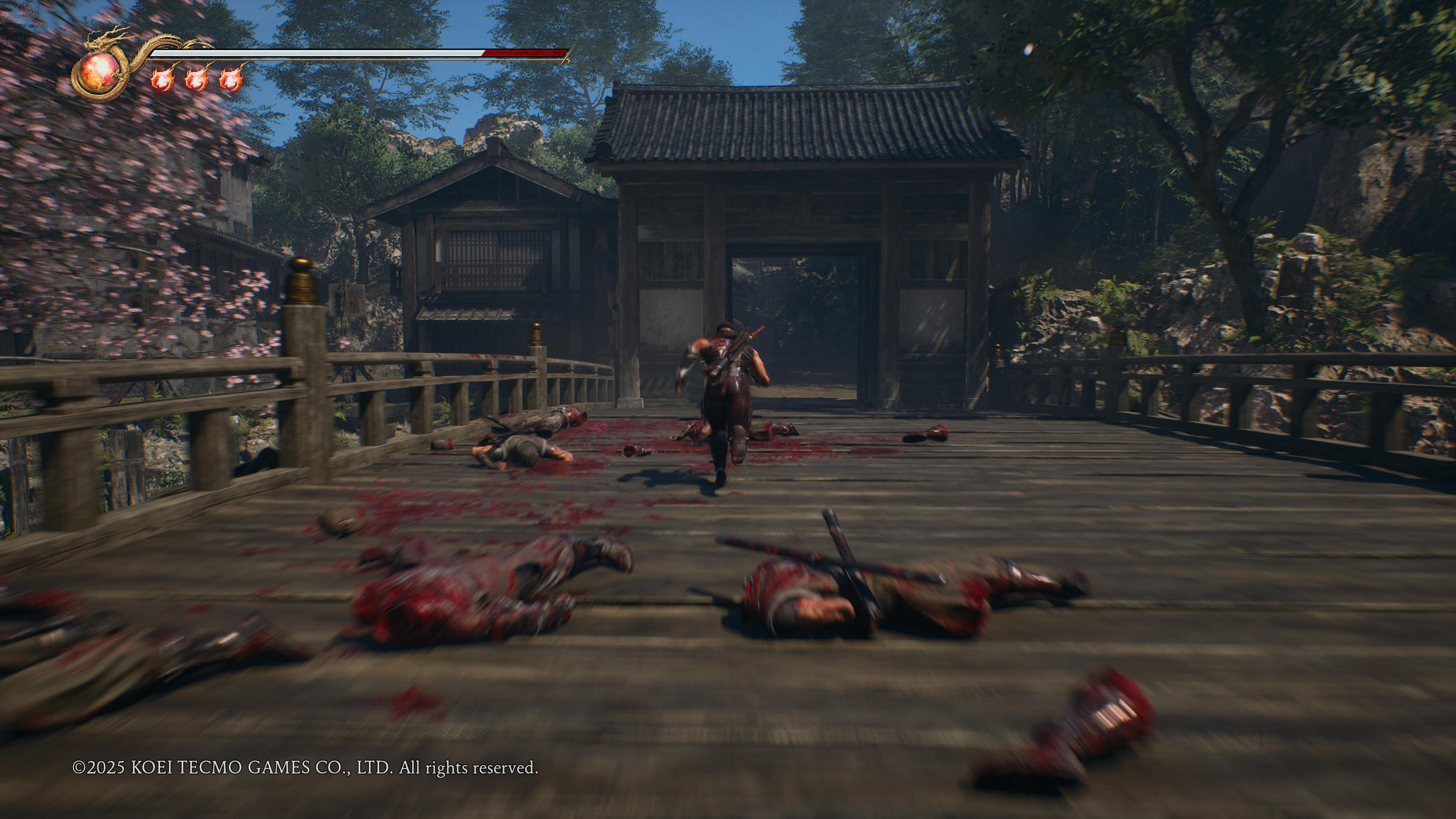 Ninja Gaiden 2 Black