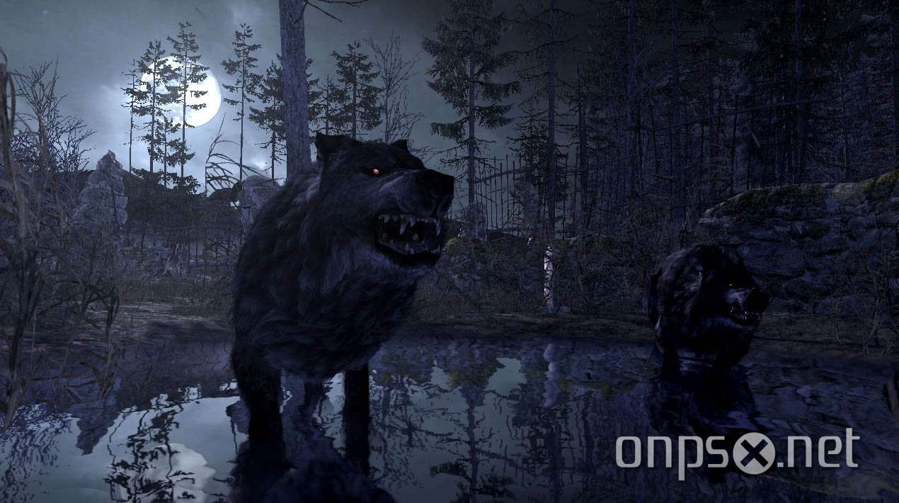 Cabela's Dangerous Hunts 2011