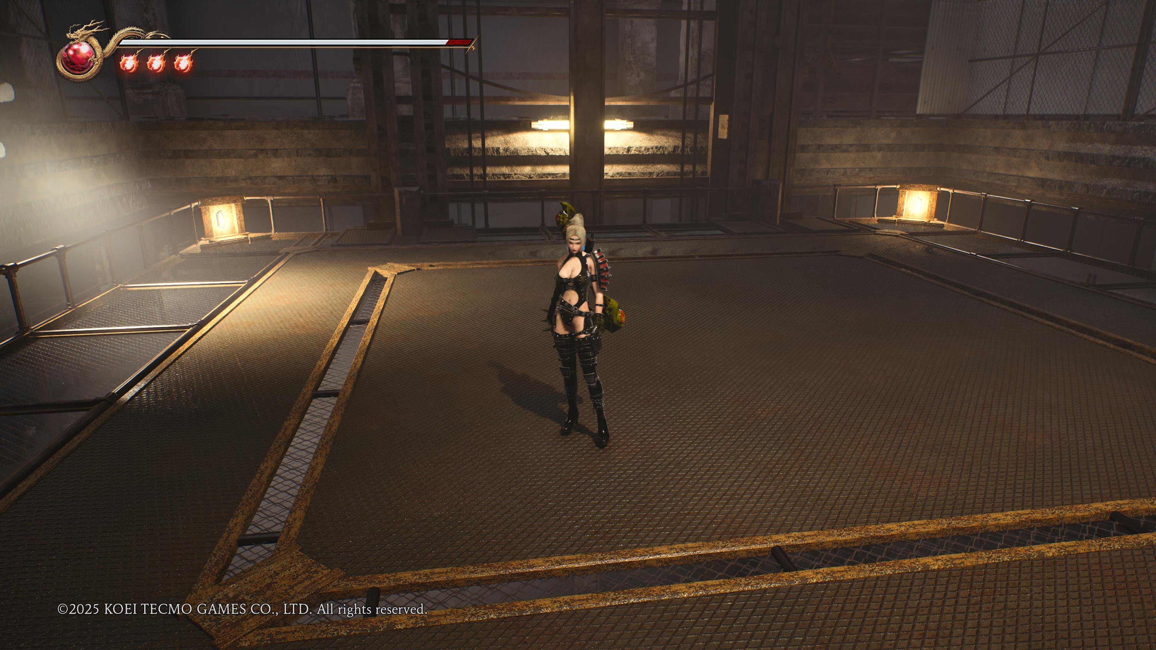 Ninja Gaiden 2 Black