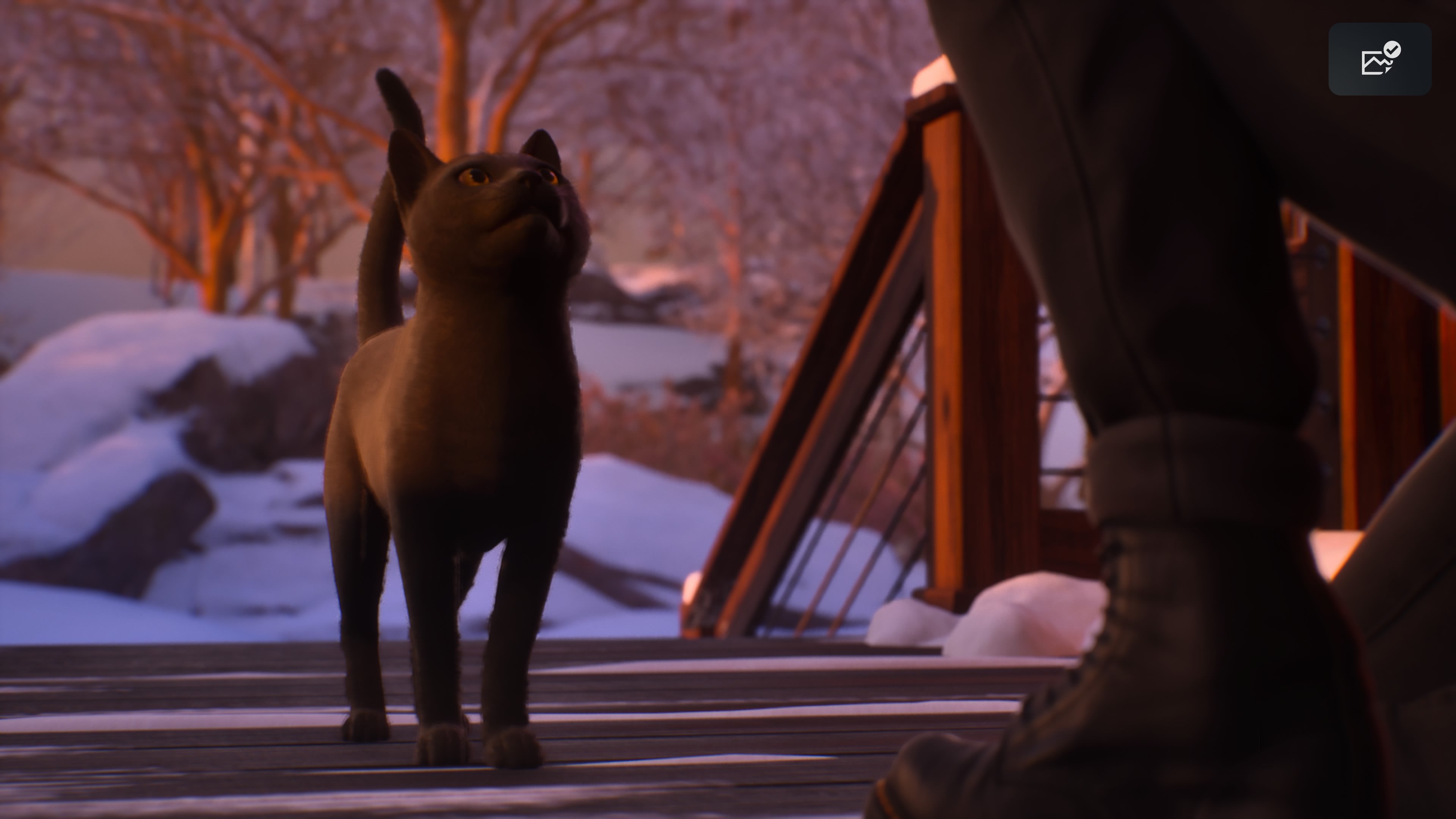 Life is Strange: Double Exposure