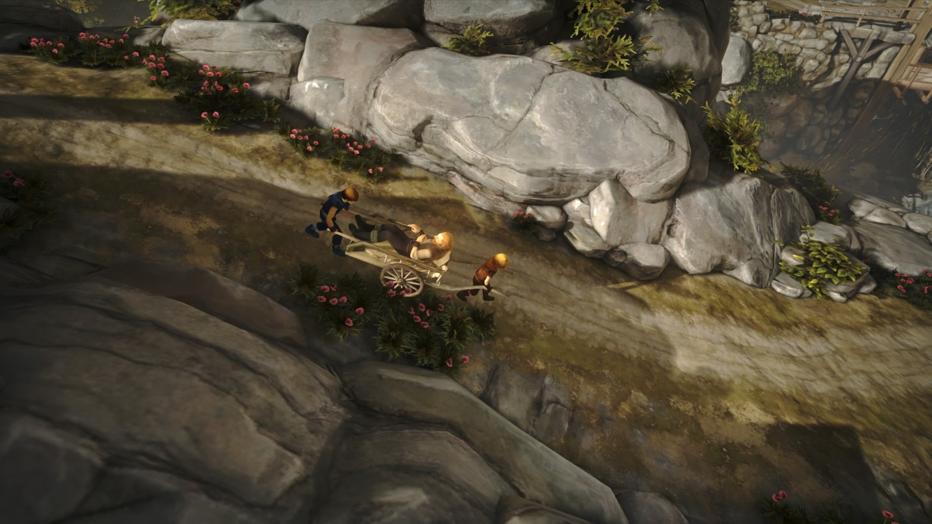 Brothers: A Tale of Two Sons