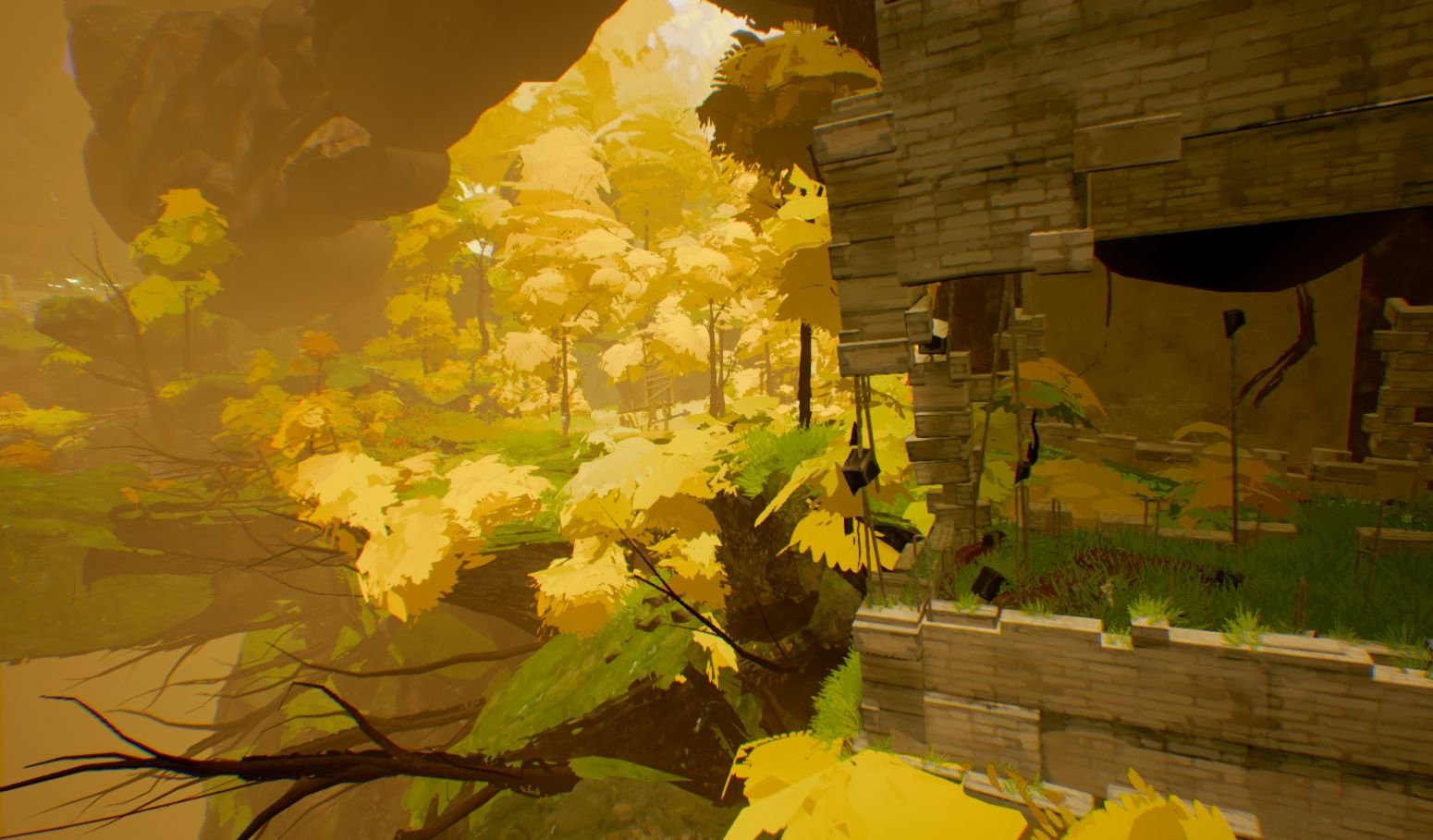 Where the Heart Leads