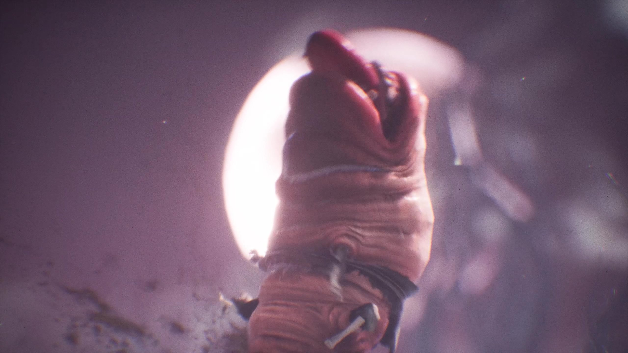 Sinner: Sacrifice for Redemption