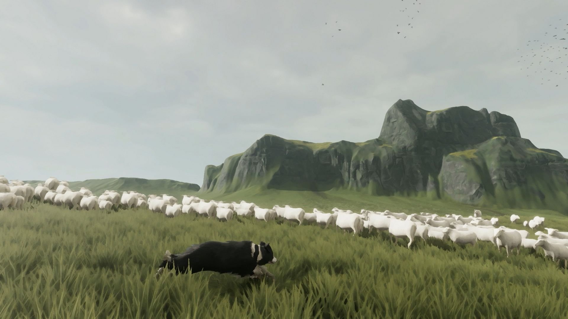 The Free Shepherd