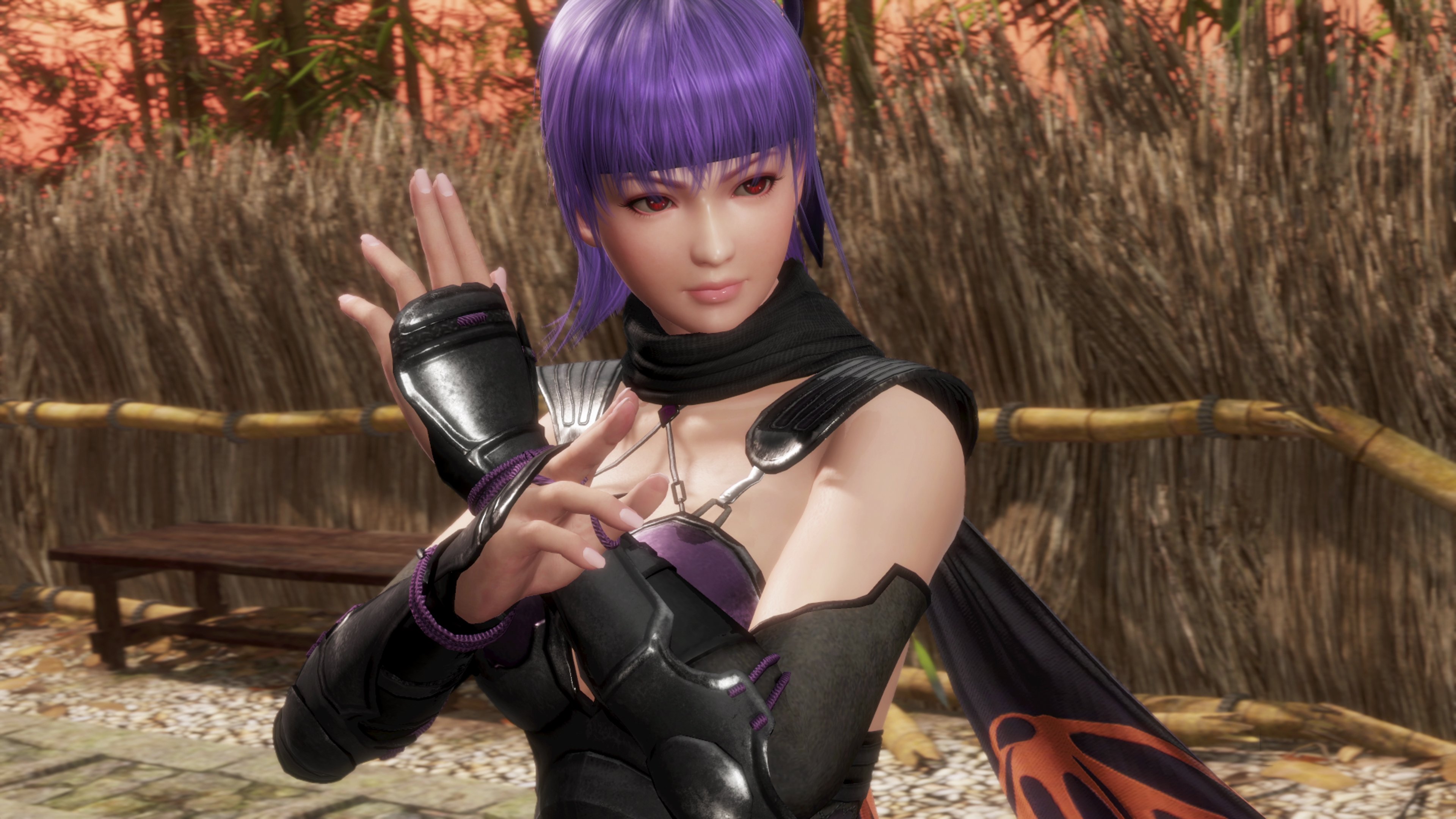 Dead or Alive 6: Last Round