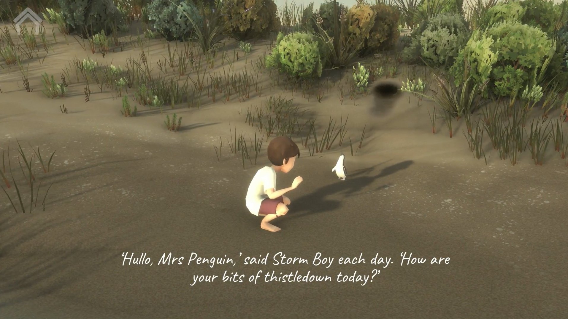 Storm Boy: The Game