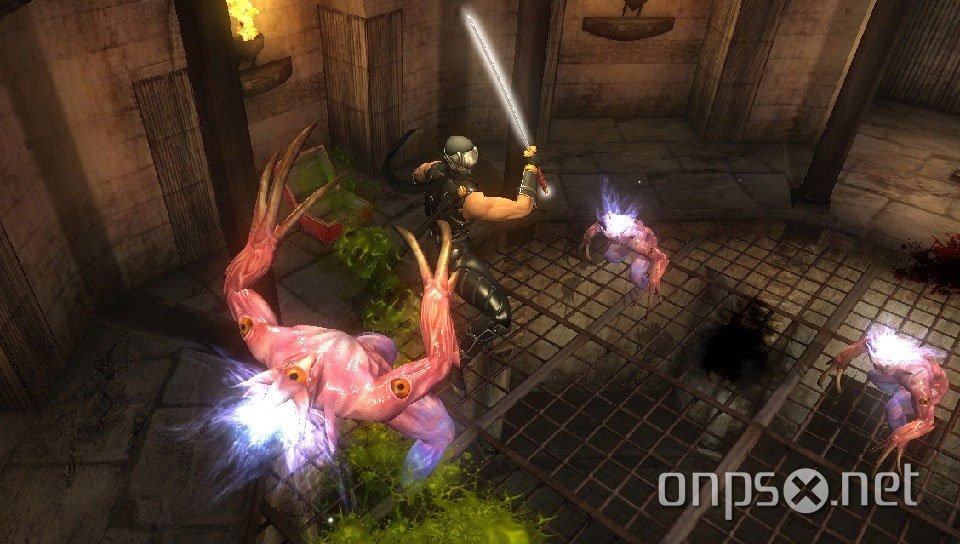 Ninja Gaiden Sigma Plus