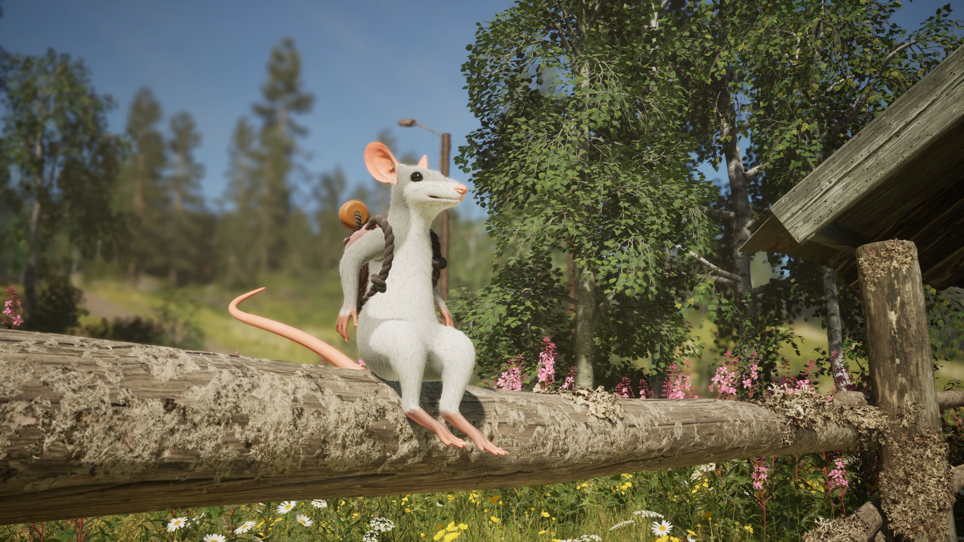 Hela: of Mice & Magic